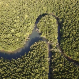 Top Rated Northern Mangrove Tour in Langkawi