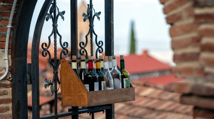 Tbilisi Fun and Sun 5