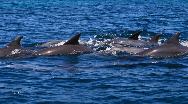 Zanzibar Fun and Sun 5