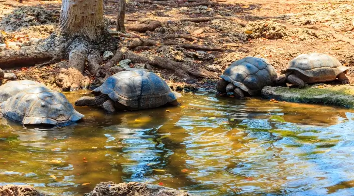 Zanzibar Fun and Sun 4