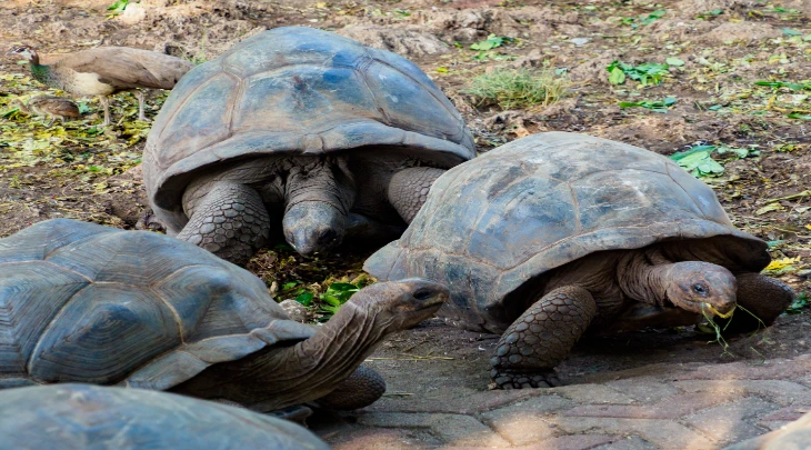 Zanzibar Fun and Sun 3