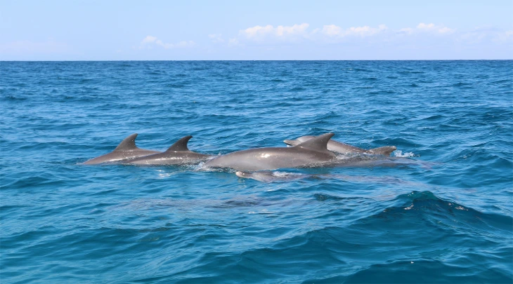 Zanzibar Fun and Sun 6