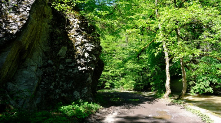 Tbilisi Fun and Sun 6