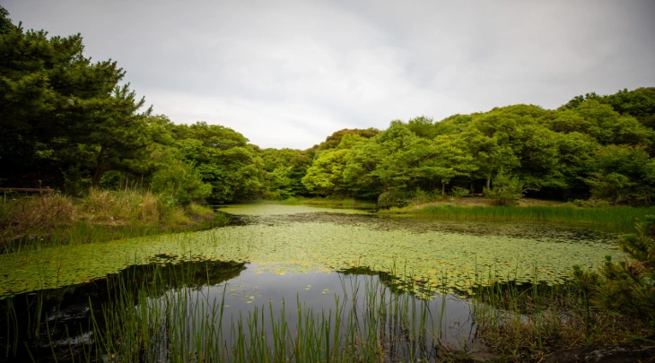 Bentota Fun and Sun 1