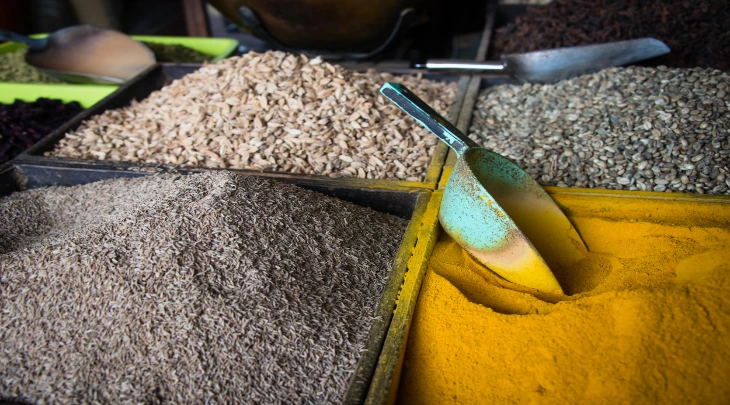 Zanzibar Fun and Sun 3