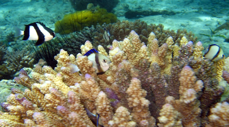 Zanzibar Fun and Sun 6