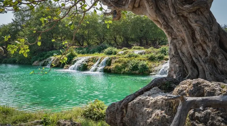 Muscat Fun and Sun 1