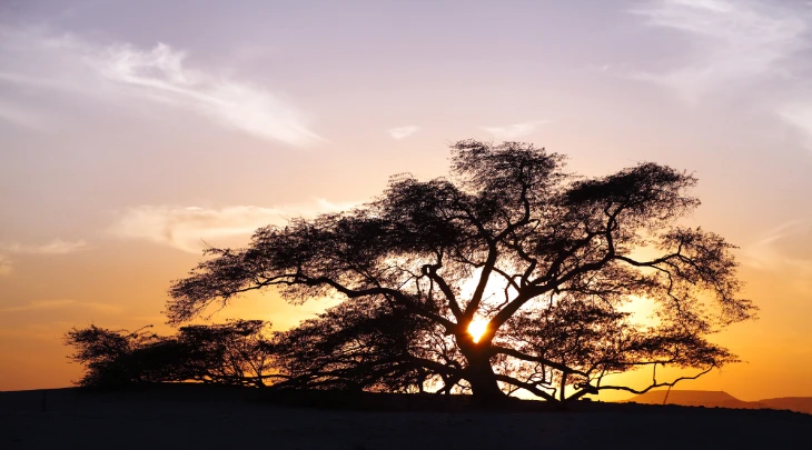 Manama Fun and Sun 6