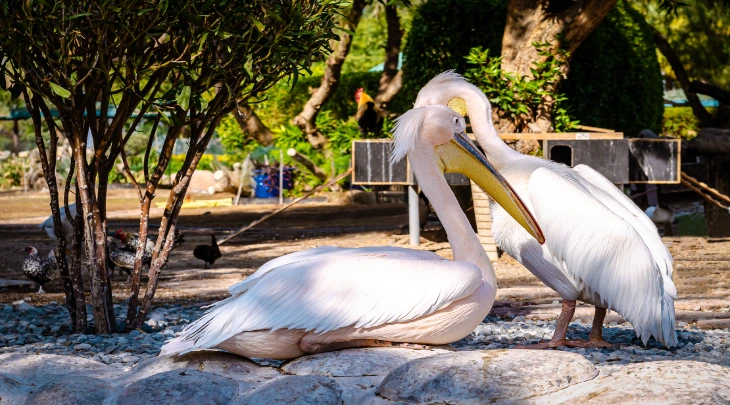 Manama Fun and Sun 2