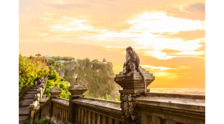 Manama Fun and Sun 6