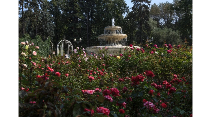 Moscow Fun and Sun 6