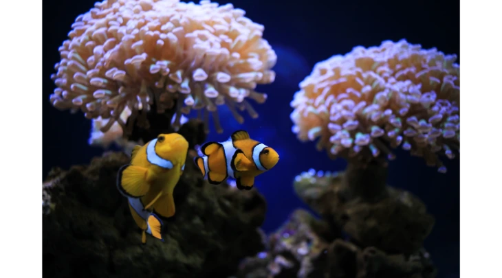 Moscow Fun and Sun 4