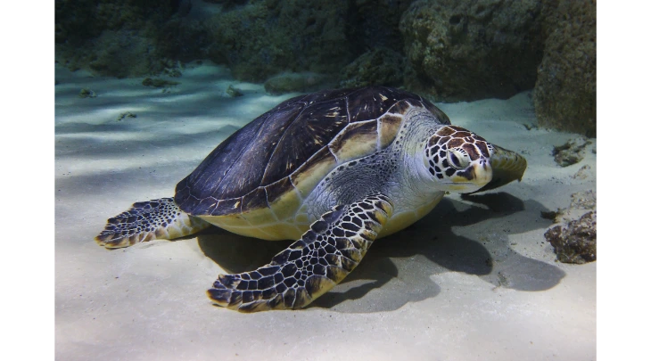 Moscow Fun and Sun 1