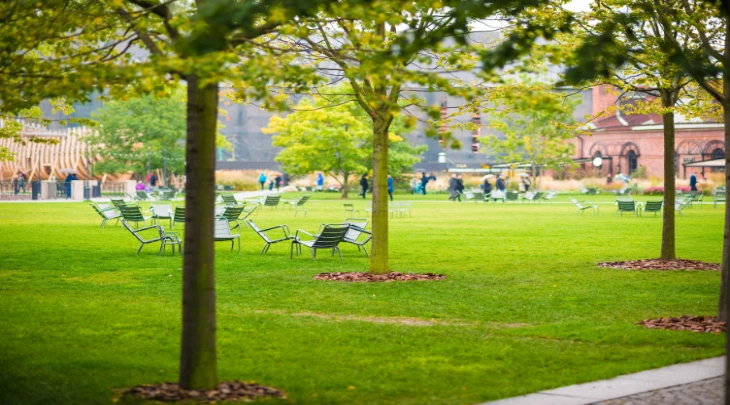 Saint Petersburg Fun and Sun 2