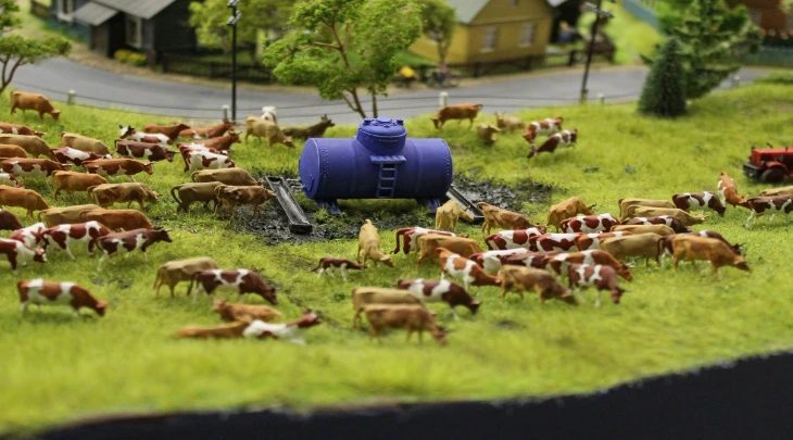 Saint Petersburg Fun and Sun 2