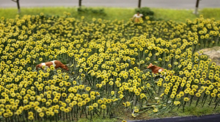 Saint Petersburg Fun and Sun 1