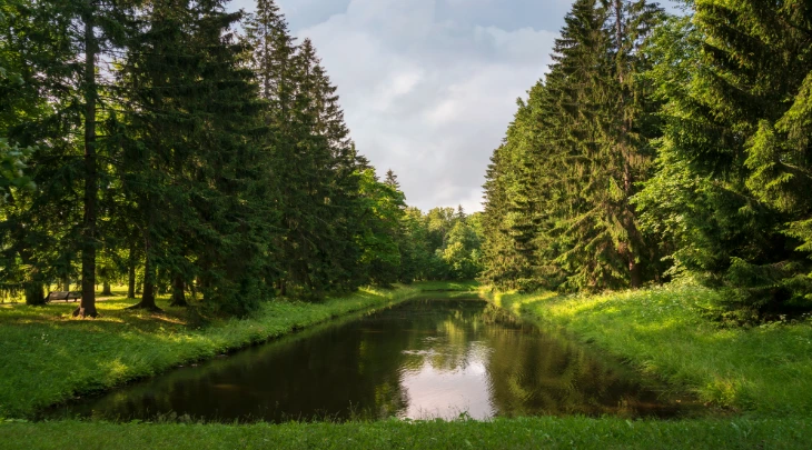 Saint Petersburg Fun and Sun 2