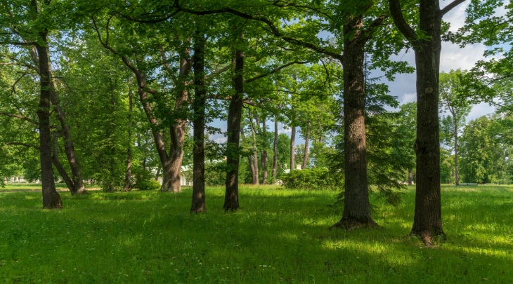 Saint Petersburg Fun and Sun 1