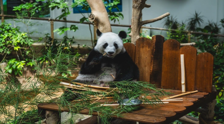 Kuala Lumpur Fun and Sun 6