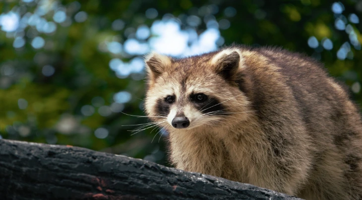 Kuala Lumpur Fun and Sun 5