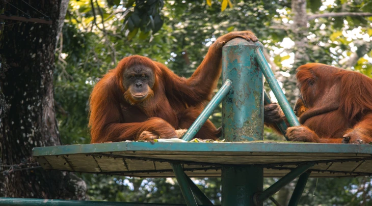 Kuala Lumpur Fun and Sun 4