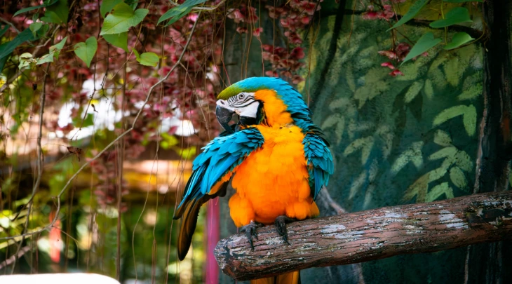 Kuala Lumpur Fun and Sun 3