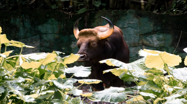 Kuala Lumpur Fun and Sun 2