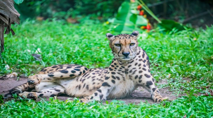 Kuala Lumpur Fun and Sun 1