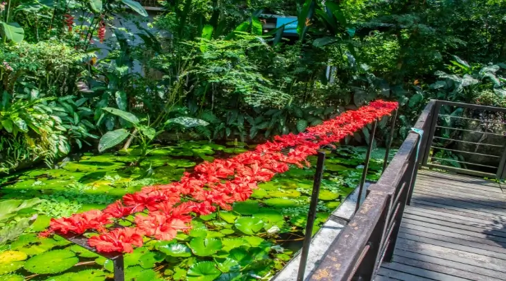 Penang Fun and Sun 1