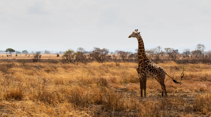 Zanzibar Fun and Sun 5