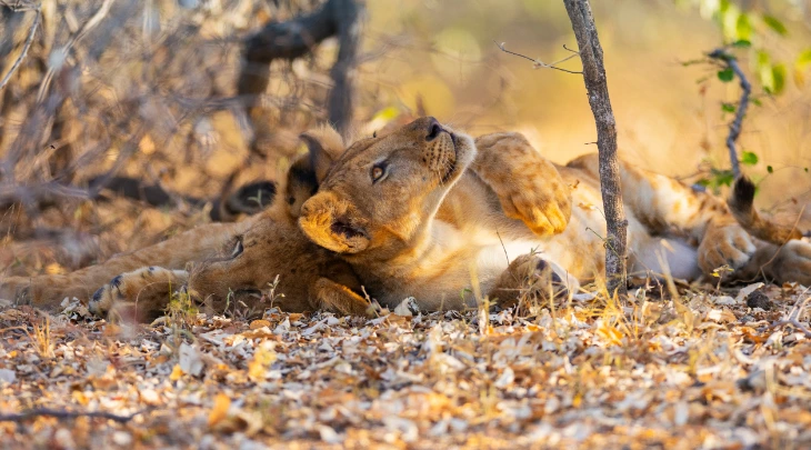 Zanzibar Fun and Sun 3