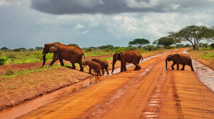 Mombasa Fun and Sun 1