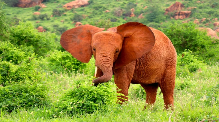 Mombasa Fun and Sun 2