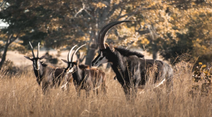 Mombasa Fun and Sun 3