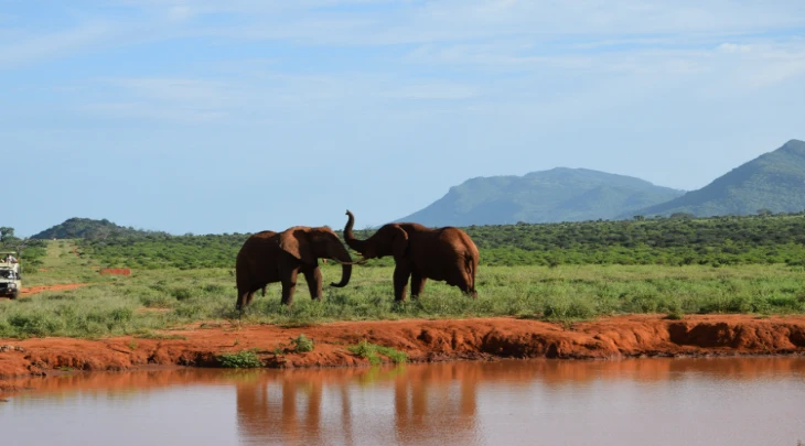 Mombasa Fun and Sun 1