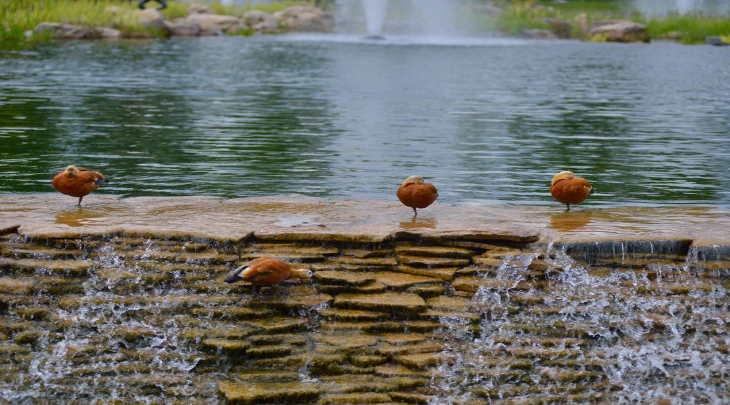 Mombasa Fun and Sun 6