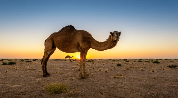 Salalah Fun and Sun 5