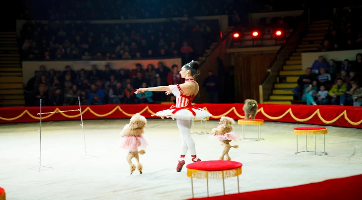 Moscow Fun and Sun 5