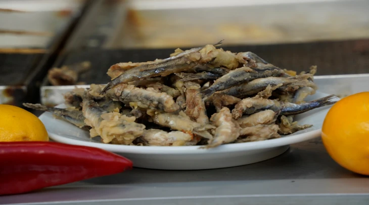 Istanbul Fun and Sun 6