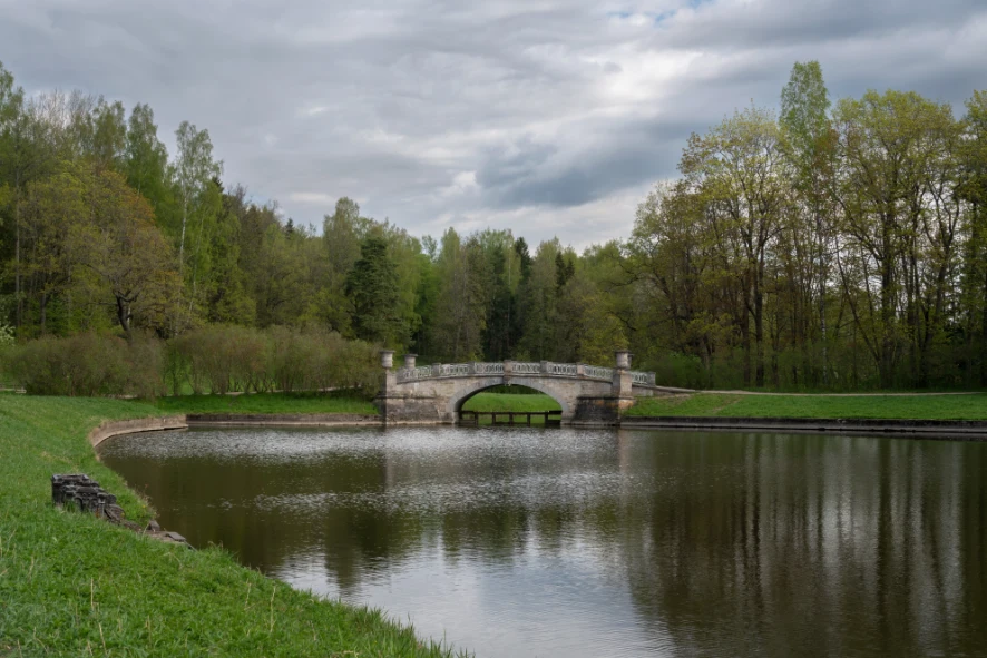 Saint Petersburg Fun and Sun 5