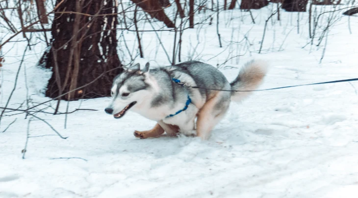 Saint Petersburg Fun and Sun 3