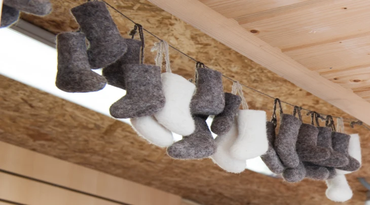 Saint Petersburg Fun and Sun 5