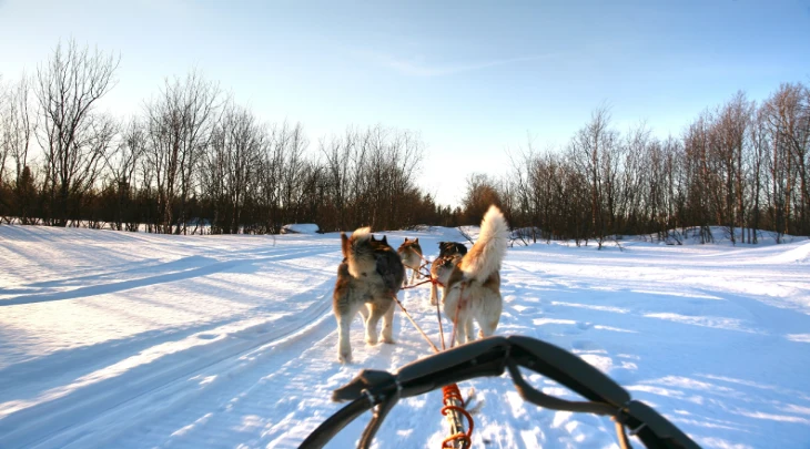 Saint Petersburg Fun and Sun 2