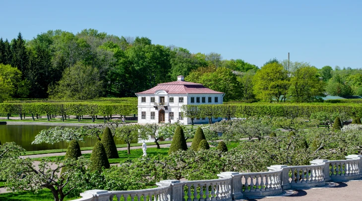 St. Petersburg F&S 5