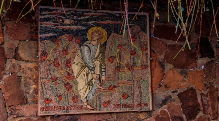 Sharm El Sheikh F&S 2