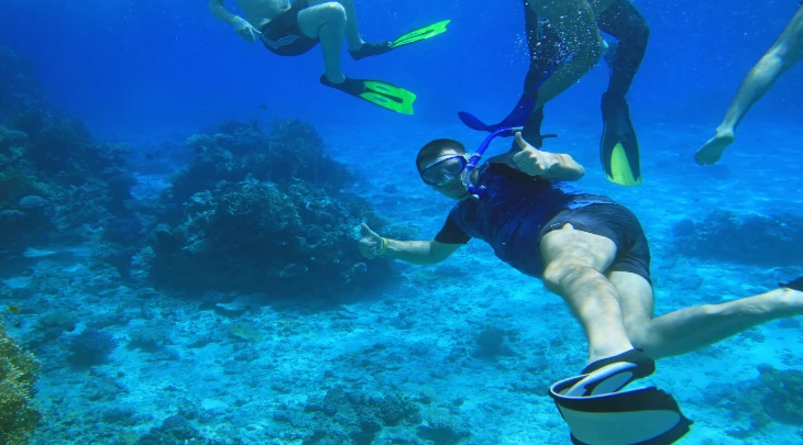 Sharm El Sheikh F&S 1