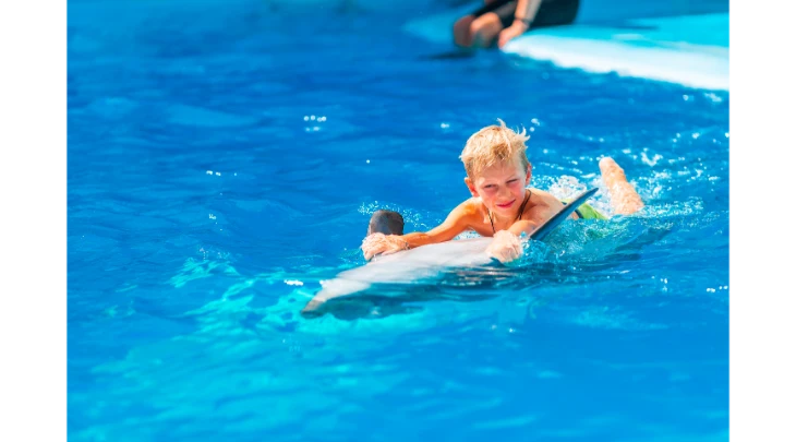 Sharm El Sheikh F&S 2