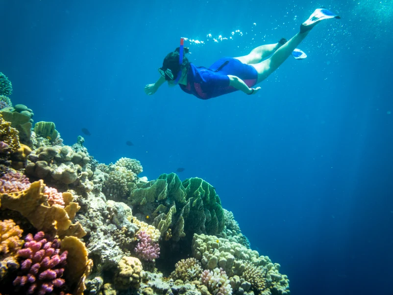 Sharm El Sheikh F&S 3