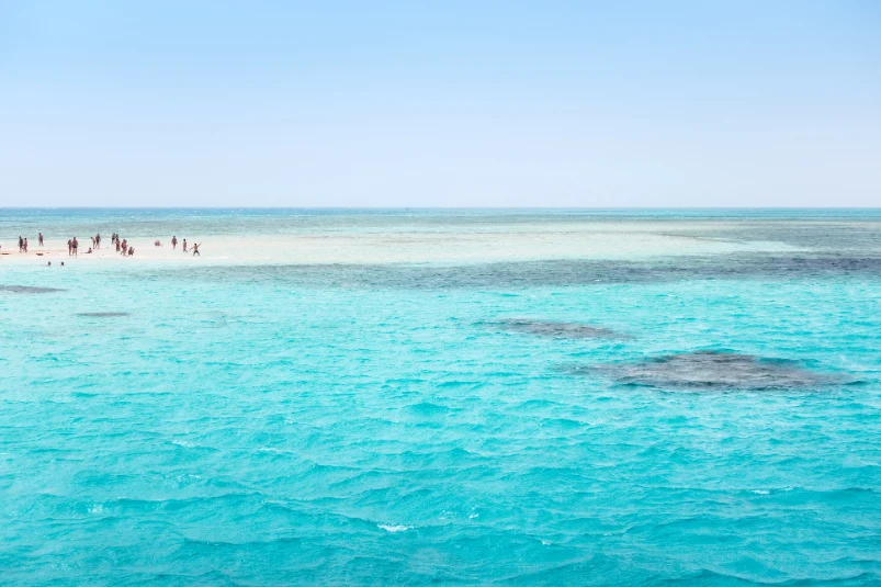 Sharm El Sheikh F&S 4