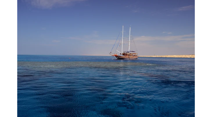 Sharm El Sheikh F&S 6